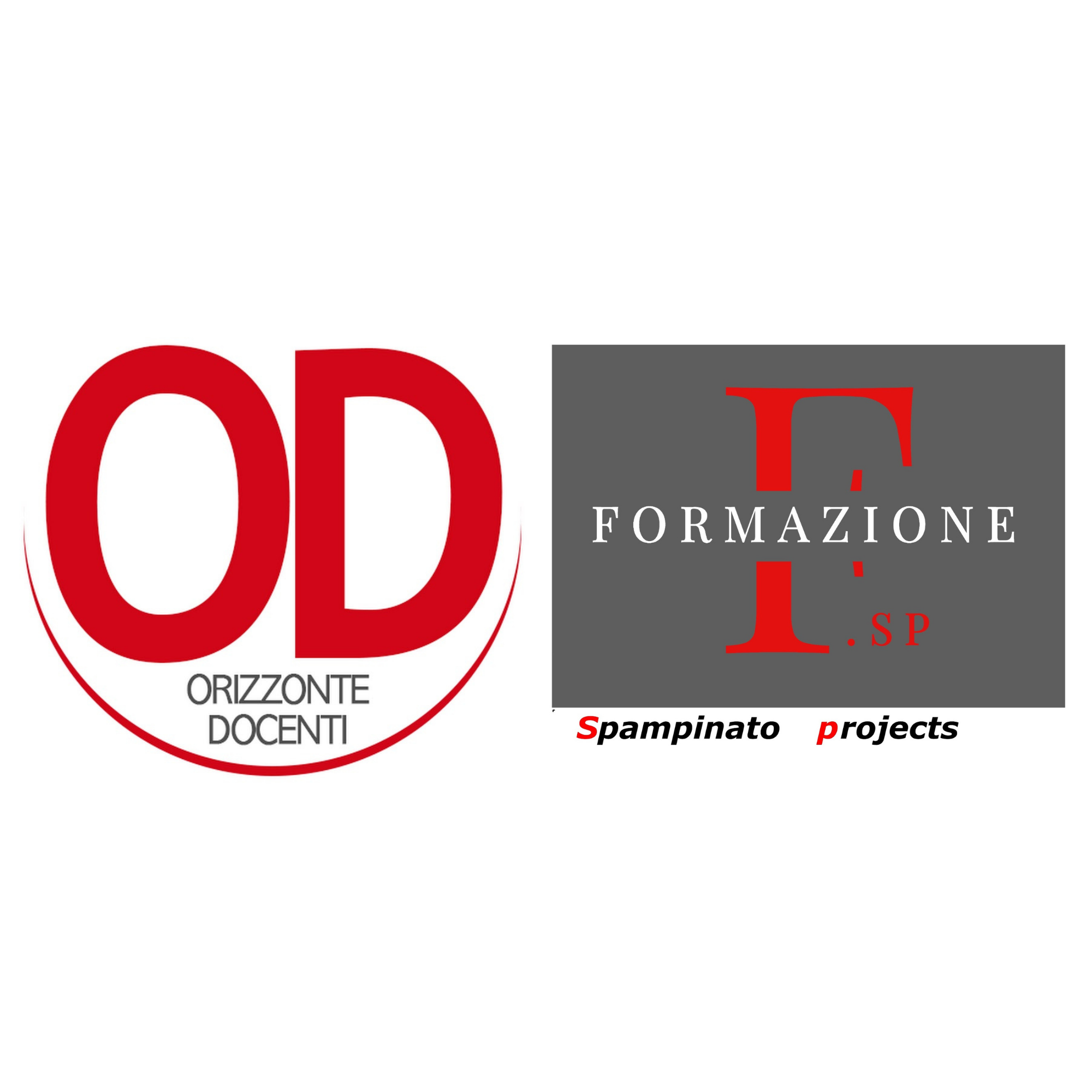Università Telematica-Orizzonte docenti